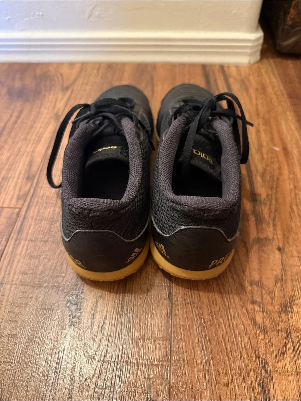 adidas Predator Indoor Soccer Shoes Black with Gum